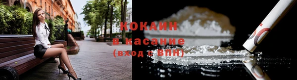 стафф Дубна