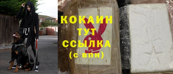 индика Дрезна