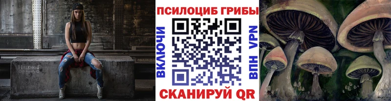 даркнет сайт  Сафоново  Галлюциногенные грибы Magic Shrooms 