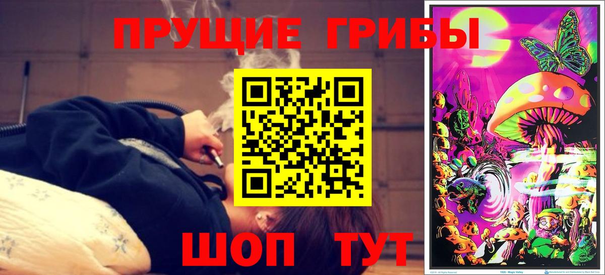 Псилоцибиновые грибы GOLDEN TEACHER  Псилоцибиновые грибы прущие грибы  Вход с VPN  Сафоново 